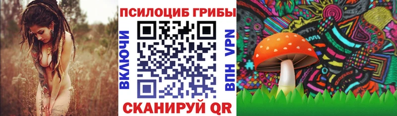 Галлюциногенные грибы мухоморы  где продают наркотики  Лукоянов 